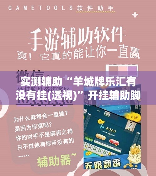 实测辅助“羊城牌乐汇有没有挂(透视)”开挂辅助脚本+详细开挂安装教程