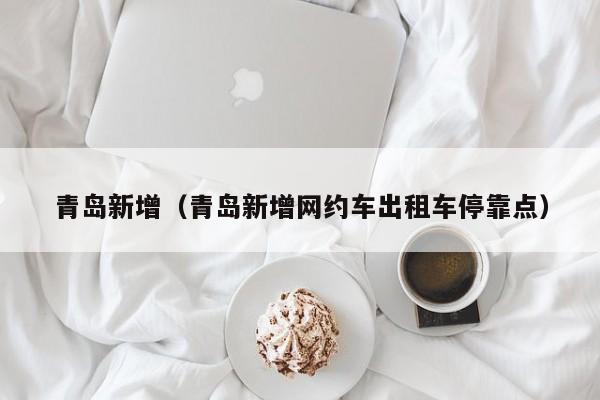 青岛新增(青岛新增网约车出租车停靠点)