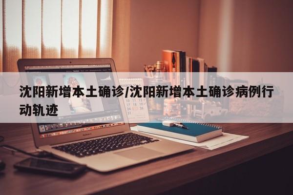 沈阳新增本土确诊/沈阳新增本土确诊病例行动轨迹