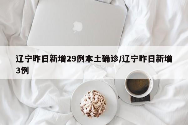 辽宁昨日新增29例本土确诊/辽宁昨日新增3例