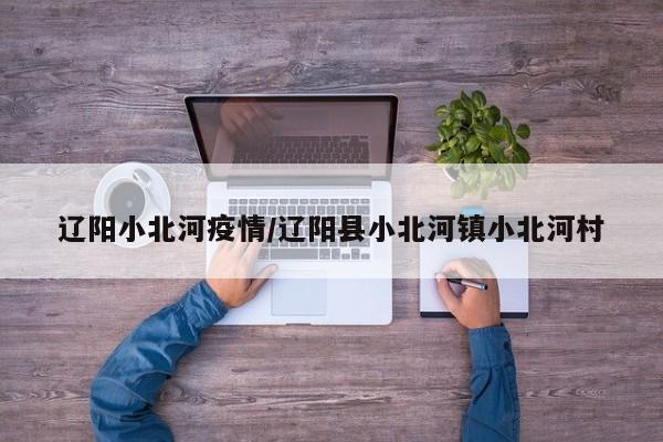 辽阳小北河疫情/辽阳县小北河镇小北河村