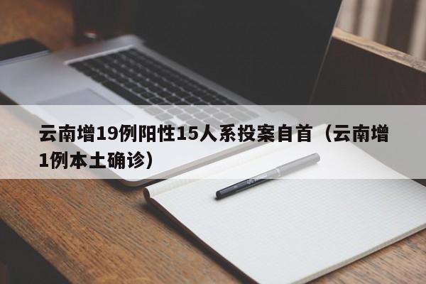 云南增19例阳性15人系投案自首（云南增1例本土确诊）