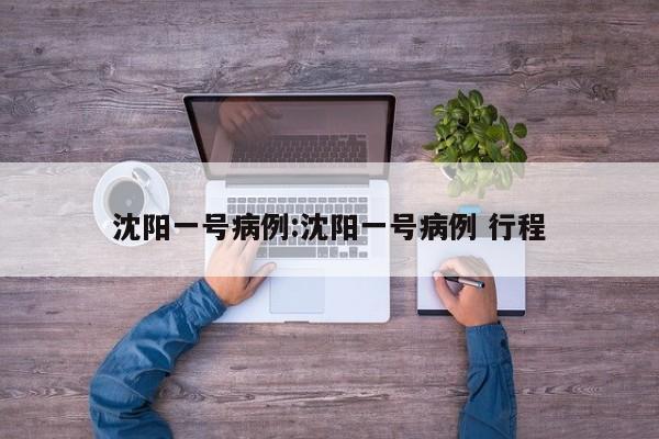 沈阳一号病例:沈阳一号病例 行程