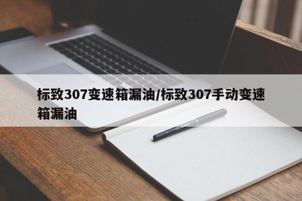 标致307变速箱漏油/标致307手动变速箱漏油
