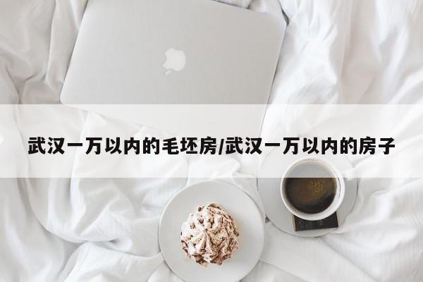 武汉一万以内的毛坯房/武汉一万以内的房子