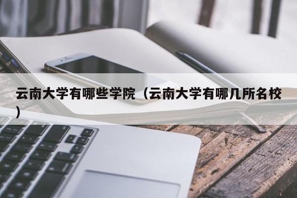 云南大学有哪些学院（云南大学有哪几所名校）