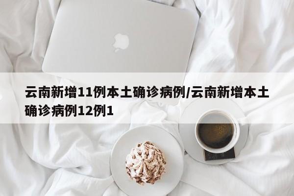 云南新增11例本土确诊病例/云南新增本土确诊病例12例1