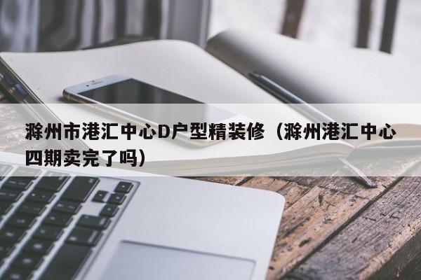 滁州市港汇中心D户型精装修(滁州港汇中心四期卖完了吗)