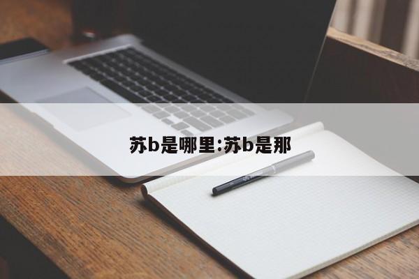苏b是哪里:苏b是那